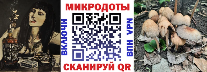 дарнет шоп  Нальчик  Галлюциногенные грибы GOLDEN TEACHER 